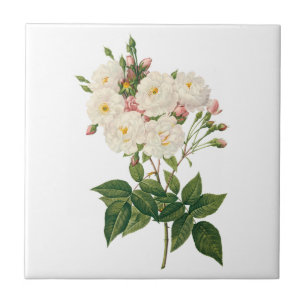 Carreau Fleurs Vintage Floral Blush Noisette Rose Redoute
