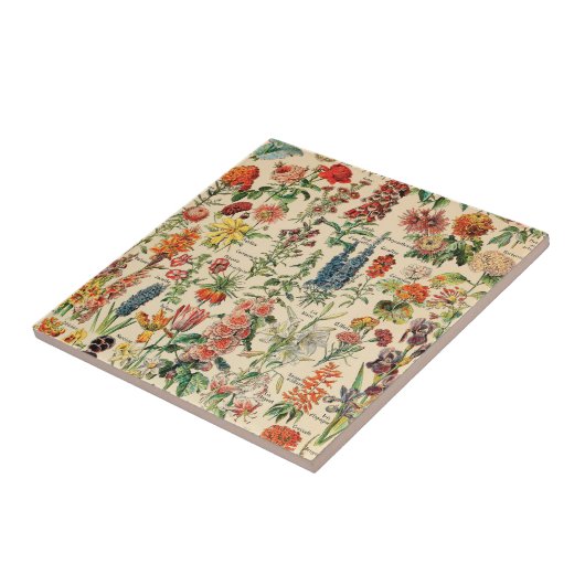 Carreau Fleurs vintages (Côté)