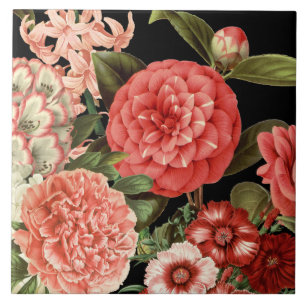 Carreau fleurs vintages botaniques roses modernes