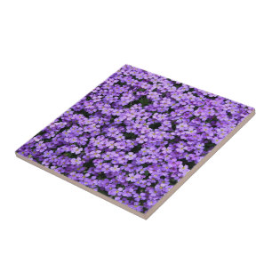 Carreau Fleurs - Violets - Belle