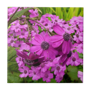 Carreau Fleurs violettes de San Francisco