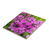 Carreau Fleurs violettes de San Francisco (Côté)