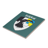 Carreau Fliese aux Grisons (Côté)