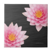 Carreau Floating Pink Lotus Flowers (Devant)