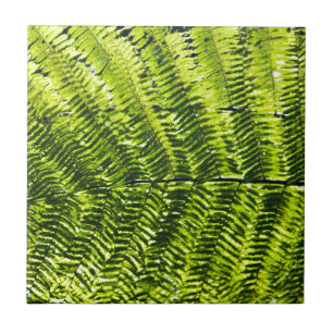 Carreau Flora Dominique 5