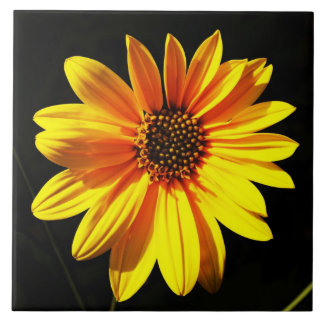 Carreau floral