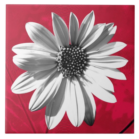 Carreau floral (Devant)