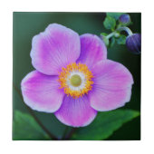 Carreau Floral d'anémone japonais rose (Devant)