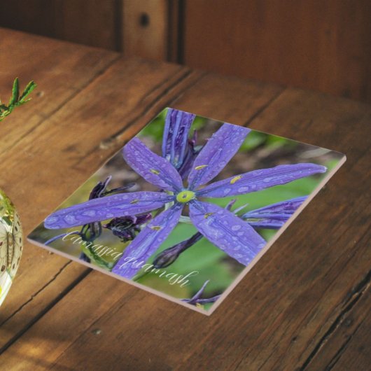 Carreau Floral de Camas Bleus Commun