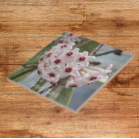 Carreau Floral de fleurs Plantes Hoya<br><div class="desc">Carrelage en céramique qui présente l'image photo des jolies petites fleurs du Plante Hoya,  communément appelé un Plante de cire. Un joli design floral ! Sélectionnez votre taille de tuile. Fait une grande cuisine trivet!</div>