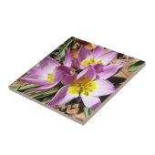 Carreau Floral de Pink (Côté)