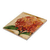 Carreau Floral III (Côté)