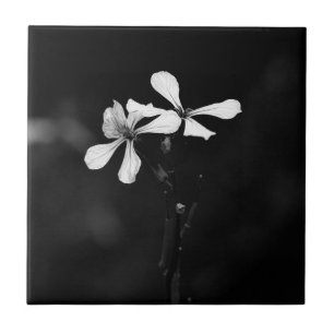 Carreau floral noir et blanc minimal