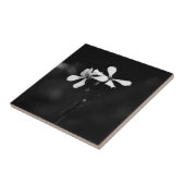 Carreau floral noir et blanc minimal (Côté)