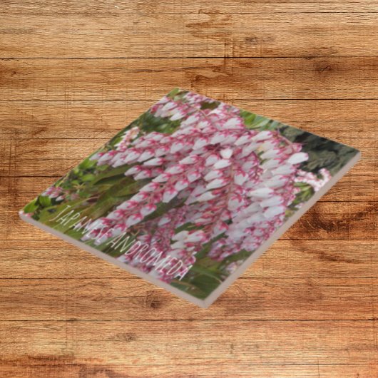 Carreau Floral Plante japonais Andromeda