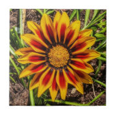 Carreau Flore 1 Carrelage (Devant)