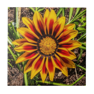 Carreau Flore 1 Carrelage