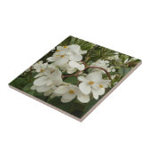 Carreau Flore de Bégonia blanche tropicale (Côté)