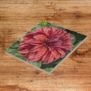 Carreau Flore de Dahlia Variée Rouge