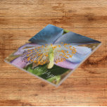 Carreau Flore de fleurs de crapaud bleu<br><div class="desc">Carrelage en céramique avec photo d'une fleur de coquelicot bleu himalayen. Fais un joli trivet de cuisine !</div>