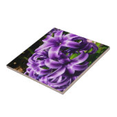 Carreau Flore de printemps Blue Hyacinth II (Côté)