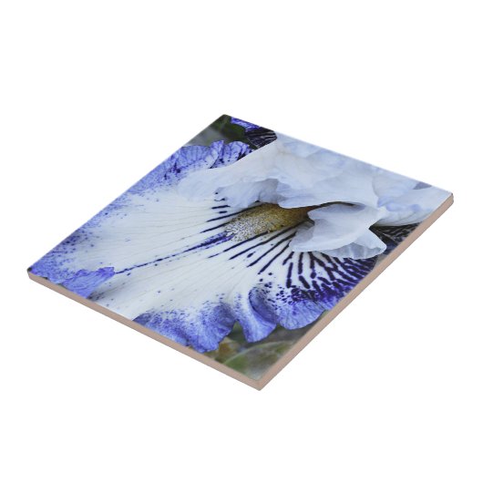 Carreau Flore d'Iris à fond bleu et blanc (Côté)