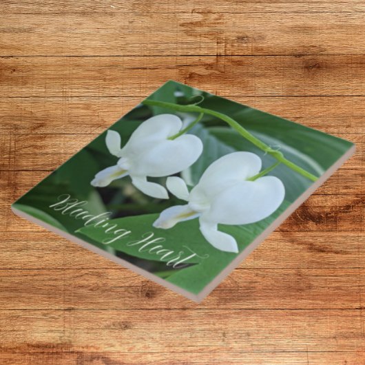 Carreau Flore du coeur blanc saignant