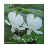 Carreau Flore du coeur blanc saignant (Devant)