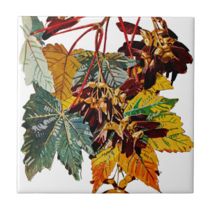 Carreau Flore exotique #3 à SunshineDazzle