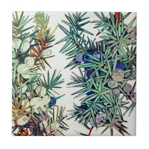 Carreau Flore exotique #7 à SunshineDazzle