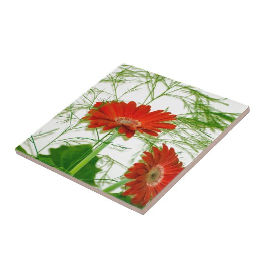 Carreau Flore rouge (Côté)