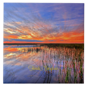 Carreau Floride Everglades, panorama pittoresque,