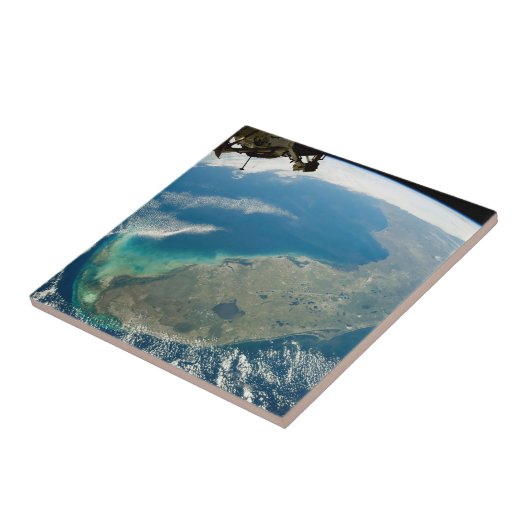 Carreau Floride Oblique, Sur La Côte Sud-Est (Côté)