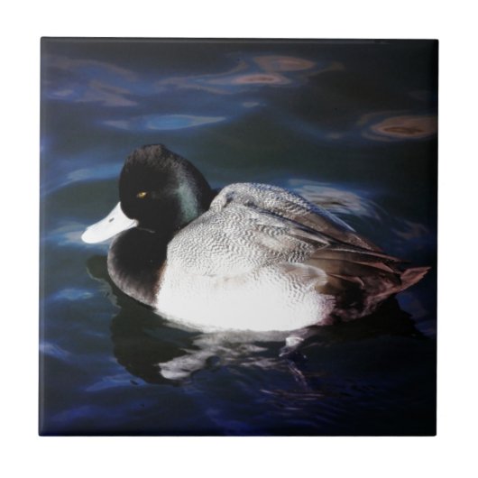 Carreau Flottement avec le soleil (Devant)