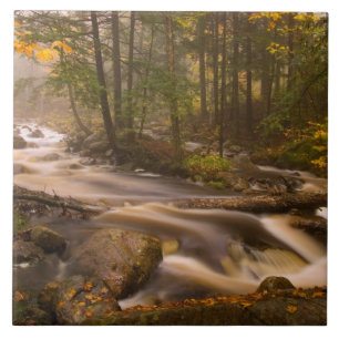 Carreau Flux Flux Sentier Appalachien   Vermont