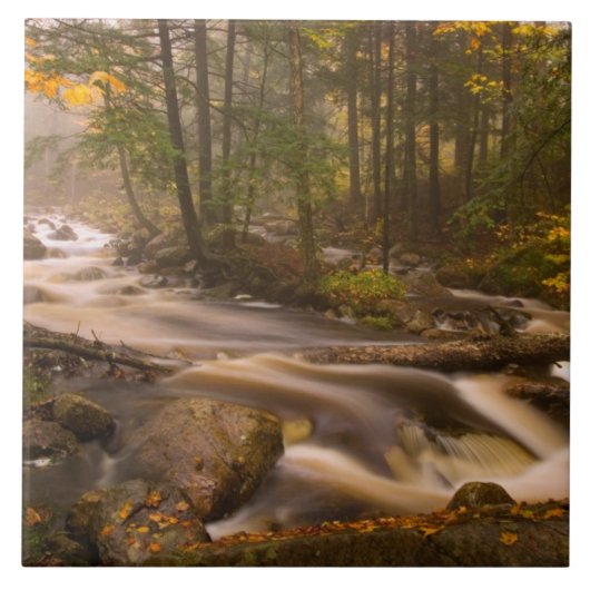 Carreau Flux Flux Sentier Appalachien | Vermont (Devant)