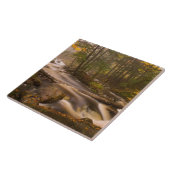 Carreau Flux Flux Sentier Appalachien | Vermont (Côté)