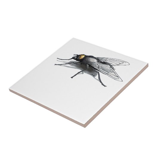 Carreau Fly Buddy géant mouche petite tuile (Côté)