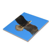 Carreau Flying Bald Eagle on Blue Wildlife Don (Côté)