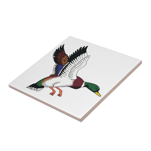 Carreau Flying Mallard (Côté)