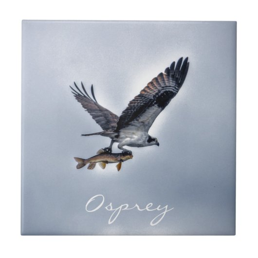 Carreau Flying Osprey with Walleye Fish HDR Photo (Devant)