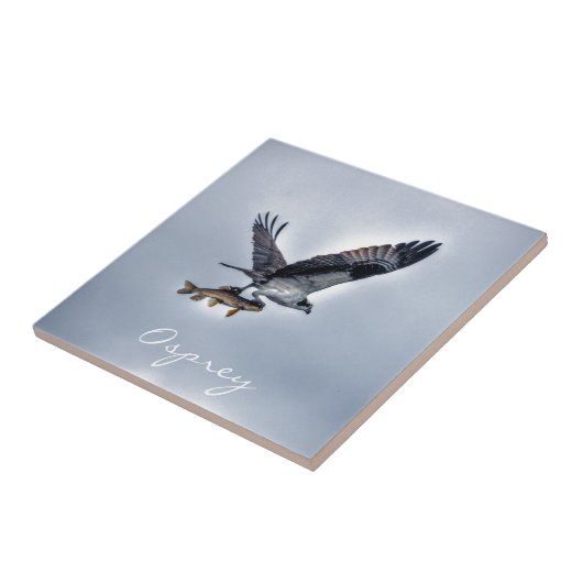 Carreau Flying Osprey with Walleye Fish HDR Photo (Côté)