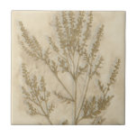 Carreau Foliage doré II<br><div class="desc">Floral</div>