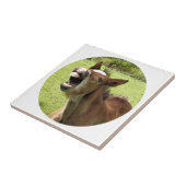 CARREAU FOLIER CUIT (Côté)