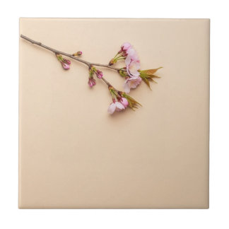 Carreau Fond de fleurs de cerisier et de marguerite