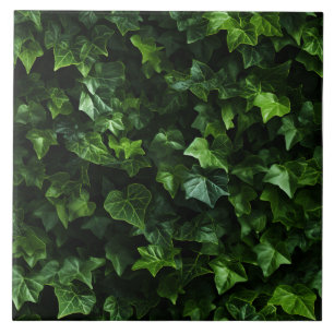 Carreau Fond de lierre, feuilles vertes, réalisme naturali