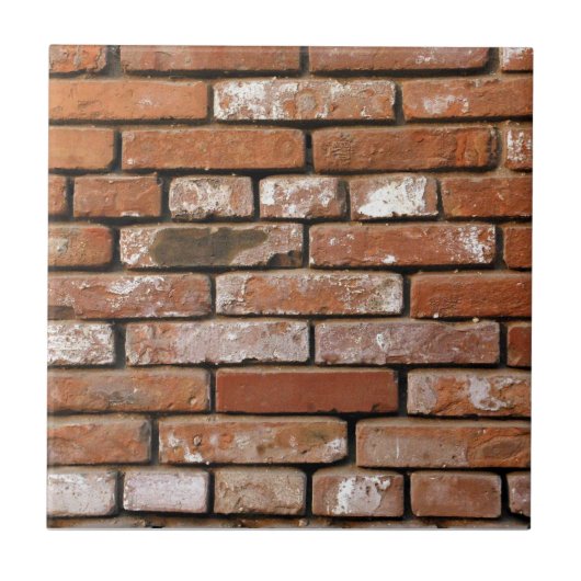 Carreau Fond de mur en briques (Devant)