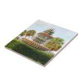 Carreau Fontaine d'ananas de Sc de Charleston, parc de (Côté)