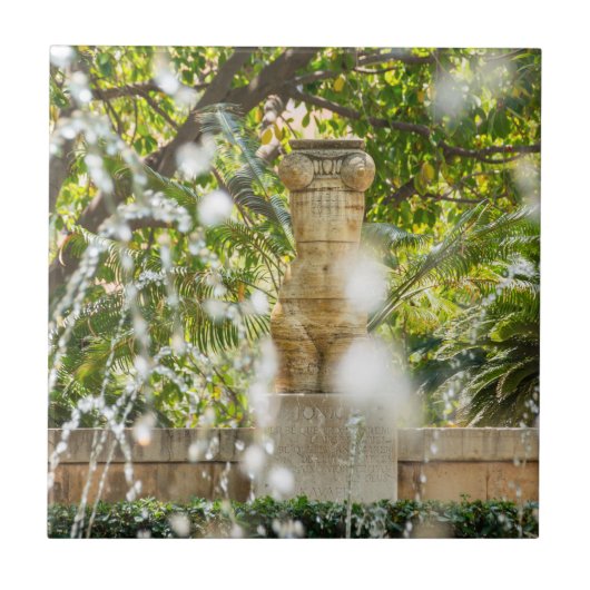 Carreau Fontaine dans les jardins d'Almudaina - Palma de M (Devant)