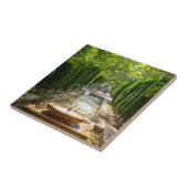 Carreau Fontaine dans les jardins d'Almudaina - Palma de M (Côté)